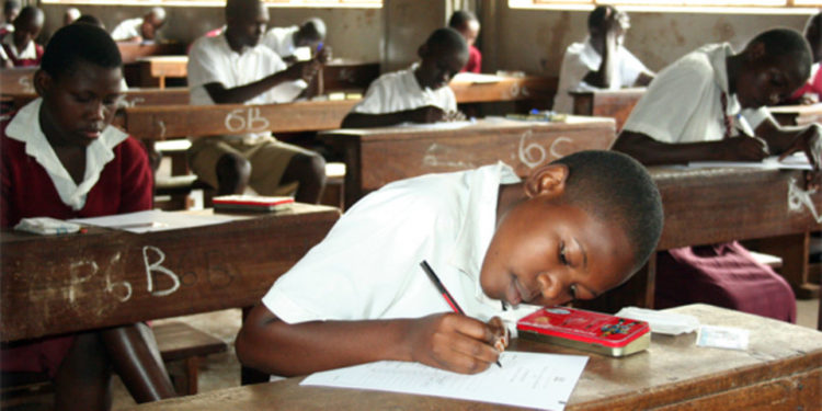 Uwezo wants P7 phased out