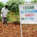 Activists re-echo call against signing of GMO bill