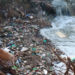 UNEP warns of piling plastics in soil