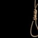 Man hangs self over land