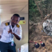 Ugandan pilot dies in DRC plane crash