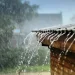Heavy downpour delays PLE in Mubende