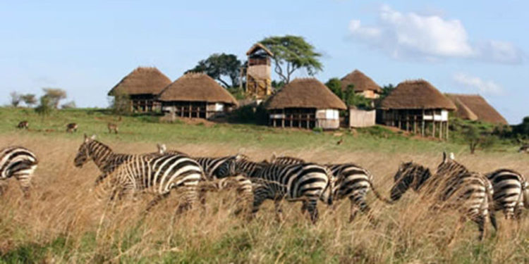 UWA heightens security in protected areas