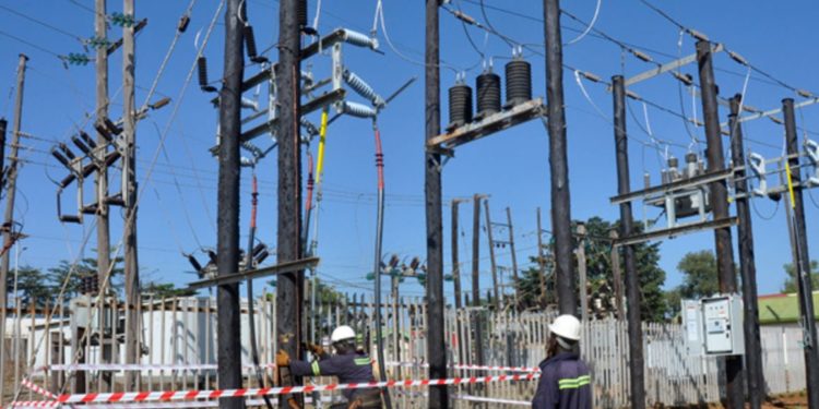 Study on electricity sector needed