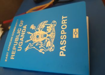 Over 6,000 affected as Internal Affairs undertakes system upgrade