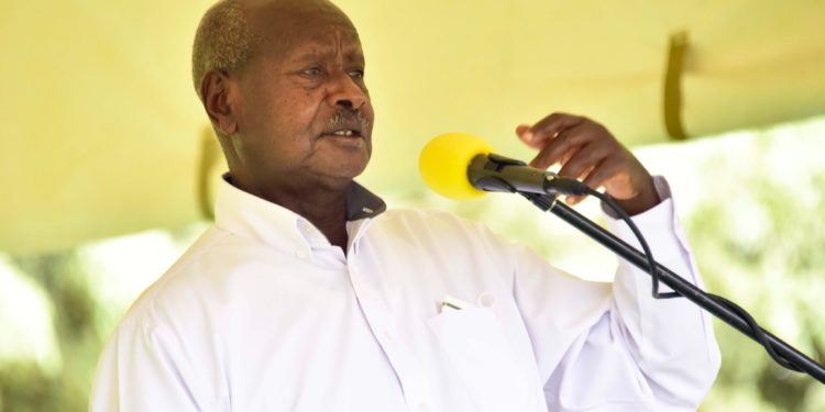 Bring evidence against “pigs” asking bribes for govt jobs – Museveni