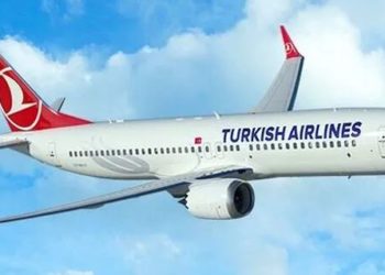 Bird strike forces Turkish plane to make emergency diversion
