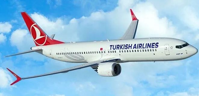 Bird strike forces Turkish plane to make emergency diversion