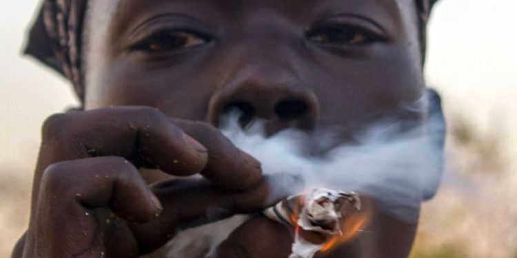 Health experts warn against uncontrolled consumption of cannabis