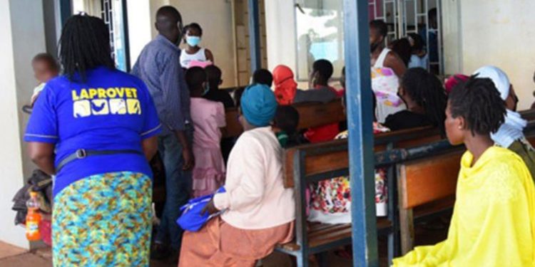 CSOs call for an end to drug stock-outs