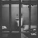 Six suspects escape from police custody