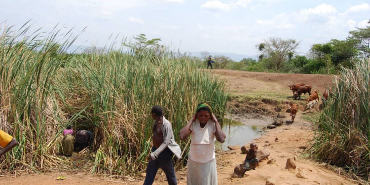 Dry spell likely to continue till May – Climate prediction centre