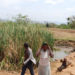 Dry spell likely to continue till May – Climate prediction centre