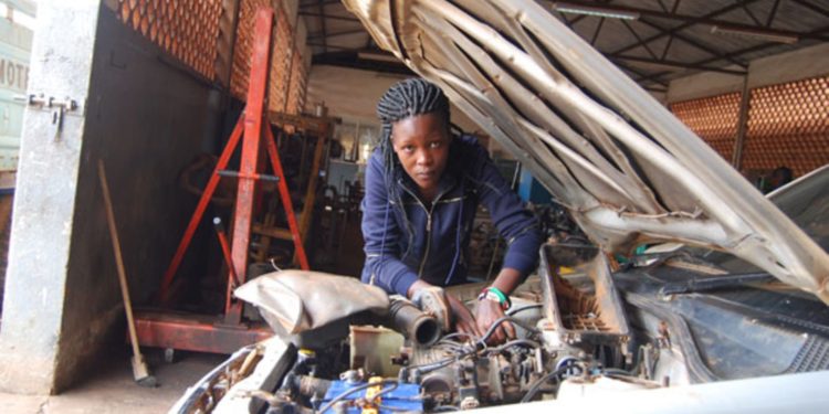 University graduates urged to take up vocational training