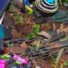 DR Congo: Over 20 suspected ADF rebels killed in latest attack