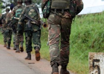 Five suspected ADF rebels killed in DR Congo