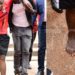 Nations failing to investigate torture cases, UN expert says