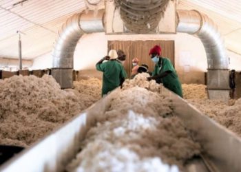 Shs2bn expenditure on transport by cotton company questioned