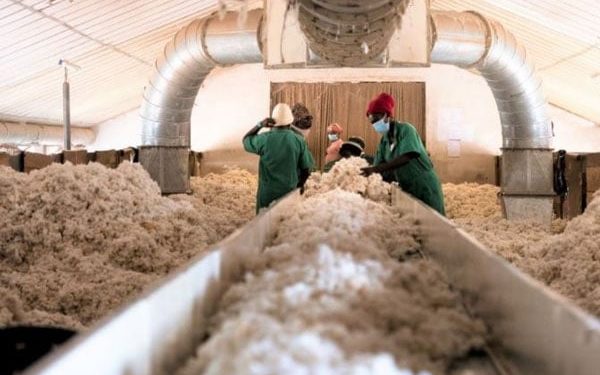 Shs2bn expenditure on transport by cotton company questioned