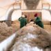 Shs2bn expenditure on transport by cotton company questioned