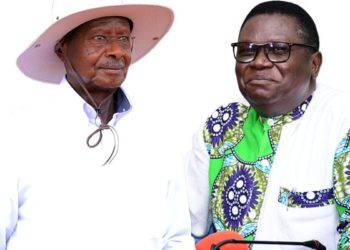 NRM-DP deal to expire in 2026 – Mao
