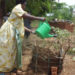 Smallholder farmers lose hope as climate change effects bite