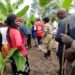 One dead after heavy downpour in Mbale