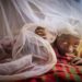 MoH revises malaria interventions