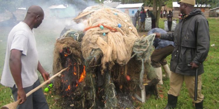 UPDF destroys Shs4bn illegal fishing nets in Masaka, Kyotera 