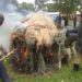 UPDF destroys Shs4bn illegal fishing nets in Masaka, Kyotera
