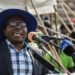 Zimbabwean opposition leader Jacob Ngarivhume jailed ahead of polls