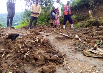 Red Cross warns of more landslides in Kasese