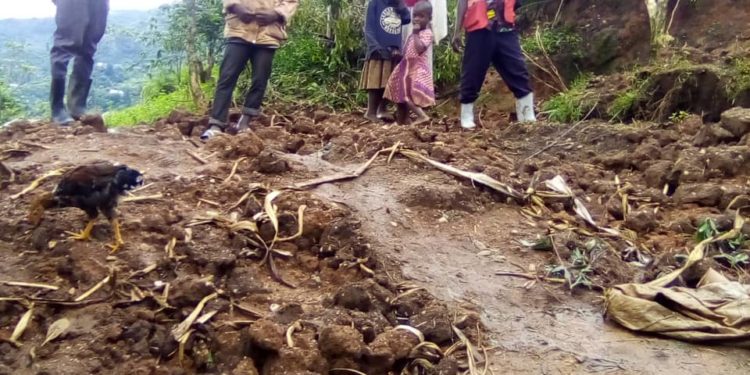 Red Cross warns of more landslides in Kasese