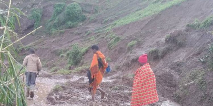 Six killed in Kisoro landslides