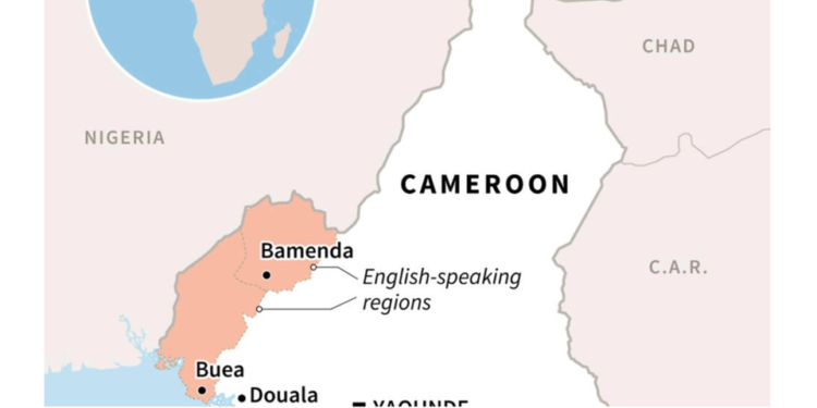 Separatists kidnap 30 women in Cameroon – officials