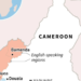 Separatists kidnap 30 women in Cameroon – officials