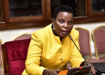 Minister calls for probe into Ntungamo ghost water project