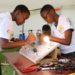 Government halts O-Level vocational exams