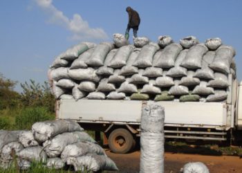 President’s ban on charcoal draws mixed reactions