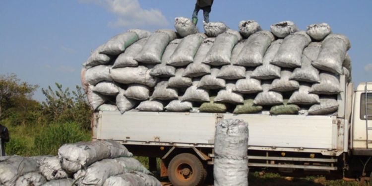 President’s ban on charcoal draws mixed reactions