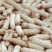 Rights activists task govt on national food reserves
