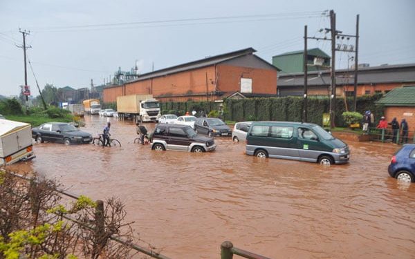 Environmentalists blame floods on construction of factories in wetlands