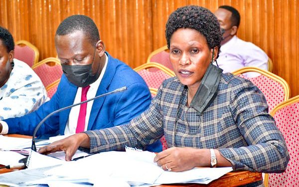 Diversion of Karamoja iron sheets was ‘a premeditated plan’ – Report