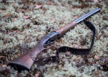 Govt asked to register firearms afresh