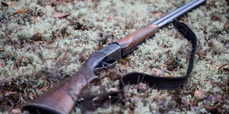 Govt asked to register firearms afresh