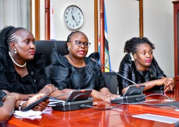 Tax on diapers to affect mothers’ productive time – Female MPs