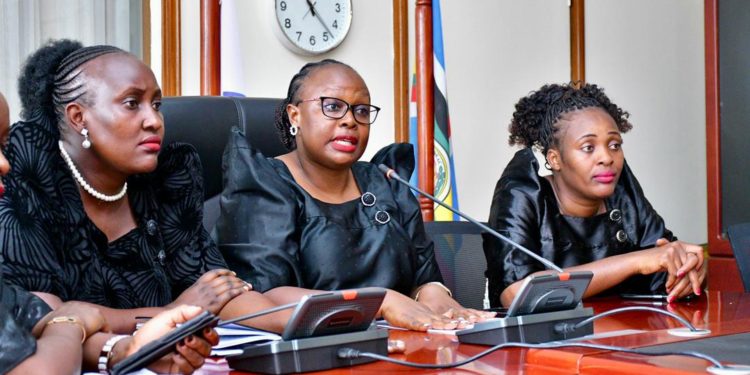 Tax on diapers to affect mothers’ productive time – Female MPs