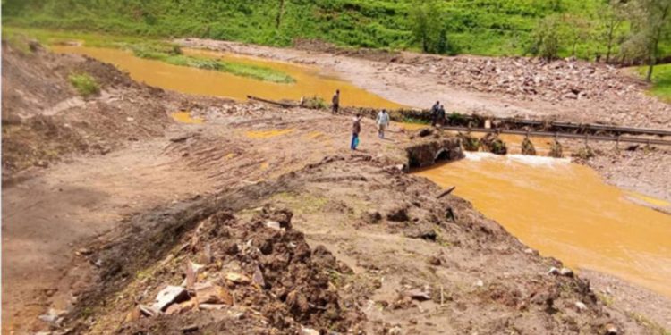 UNEP calls for urgent reversal of biodiversity loss