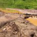 UNEP calls for urgent reversal of biodiversity loss