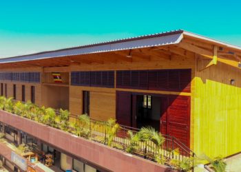 Experts push for timber buildings to reduce construction emissions
